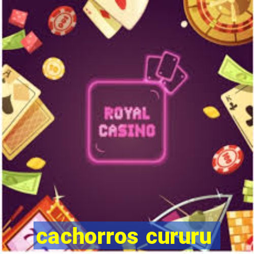 cachorros cururu